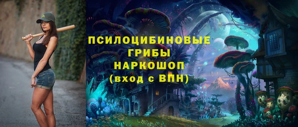 ешки Бугульма