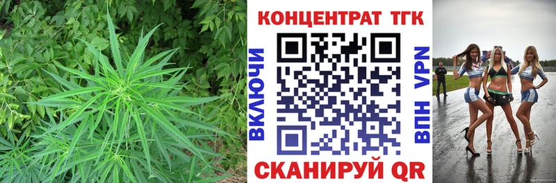 цена наркотик  Дигора  ТГК гашишное масло 
